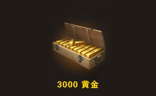 3000黄金（国际服）上号代充 世界战争：英雄World War Heroes