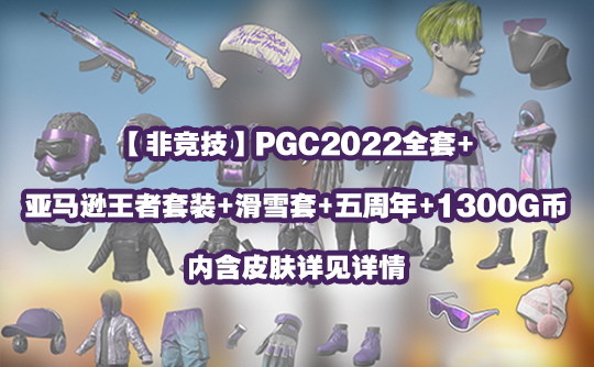 【非竞技】PGC2022全套+亚马逊王者套装+滑雪套+五周年+1300G币