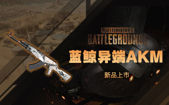 蓝鲸异端-AKM