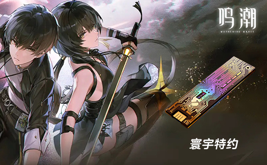 寰宇特约（国际服）上号代充 鸣潮
